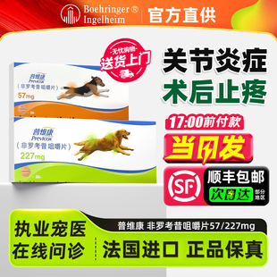 法国普维康骨克疼57mg止痛药非罗考昔咀嚼片宠物狗狗关节消炎止疼