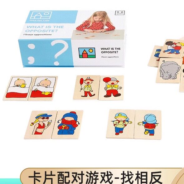 Toys for life卡片配对游戏-找相反儿童早教配对认知木质玩具