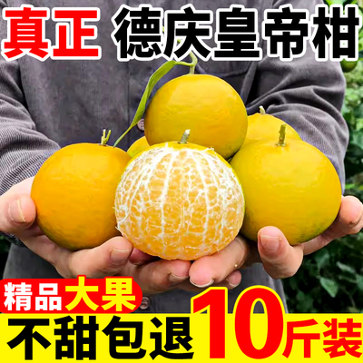 T0P1德庆皇帝柑累计销量200W+