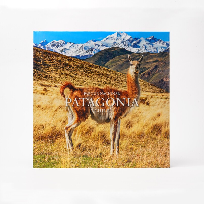 【现货】巴塔哥尼亚国家公园 PARQUE NACIONAL PATAGONIA 进口书籍 摄影书籍
