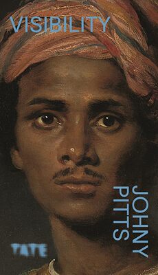 【预售】再看一次：可见性/英语 Look Again : Visibility /anglais 进口书籍