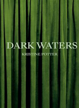 【预售】克里斯汀·波特：《黑水》 Kristine Potter: Dark Waters 进口书籍