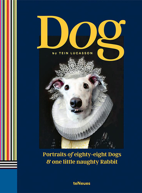 英文原版书籍 Dog 狗:八十八只狗和一只淘气的小兔子 宠物摄影集Tein Lucasson
