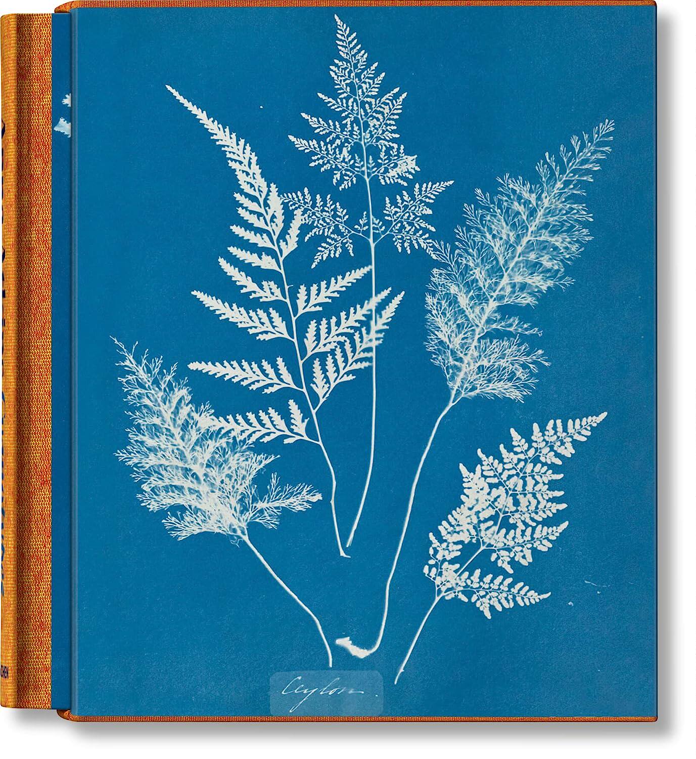 【预售】TASCHEN塔森【Famous First Edition】Anna Atkins. Cyanotypes，安娜·阿特金斯：蓝晒法 进口原版图书