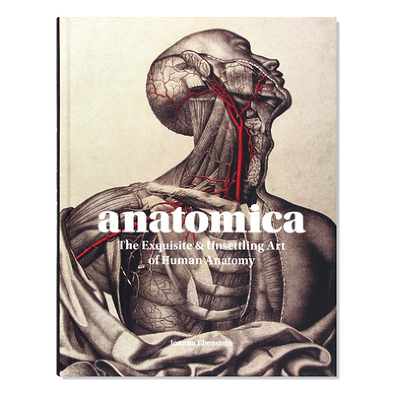 Anatomica: The Exquisite and Unsettling Art of Human Anatomy 人体解剖学的精致和令人不安的艺术