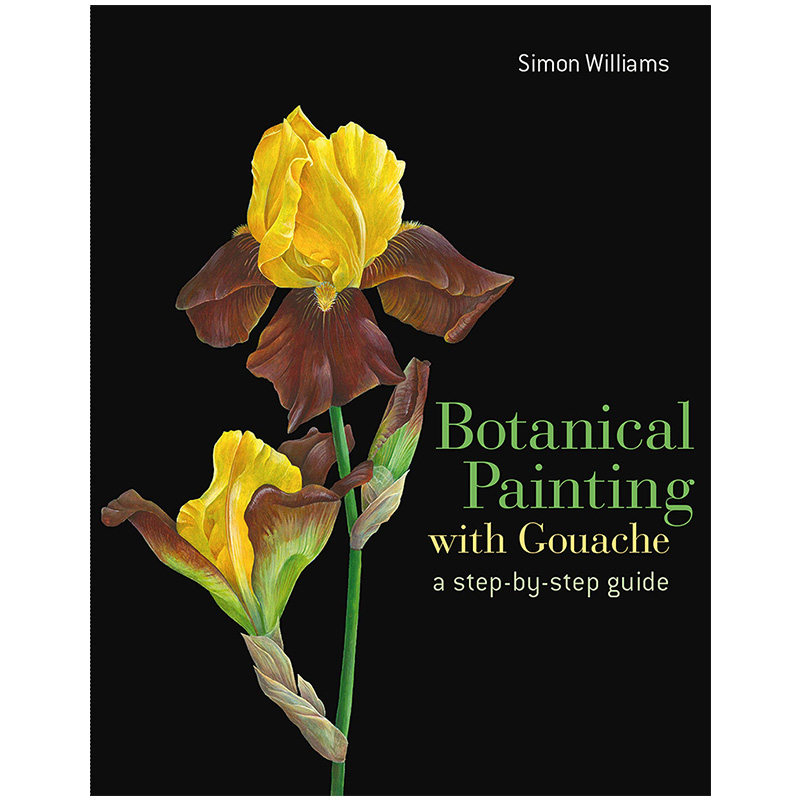 botanical painting with gouache  水粉植物绘画
