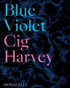 预售 进口书籍 蓝紫罗兰 Violet 花卉书籍 Blue
