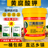 海藻黄腐酸钾水溶肥料冲施肥桶装 果树蔬菜生根绿叶膨果桶肥 正品