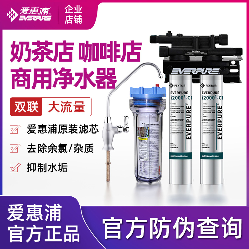 优选爱惠浦净水器奶茶店直饮水商用大流量过滤净水机mc2双联超滤