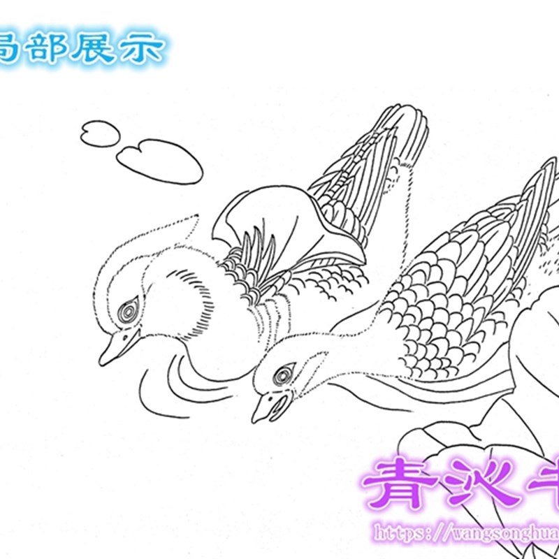 h32荷花工笔画白描p底稿实物白纸线描画稿过稿临摹俞致贞鸳鸯条幅