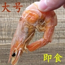福建特产特大号烤虾干100g即食海鲜干货虾类零食制品水产对虾农村