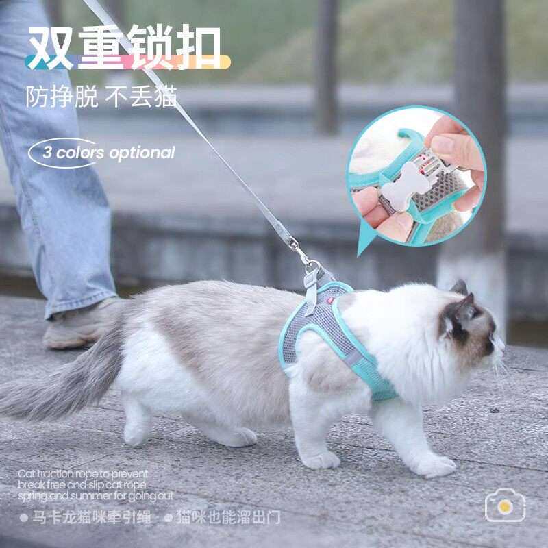 猫咪专用防挣脱牵引绳|双重锁扣