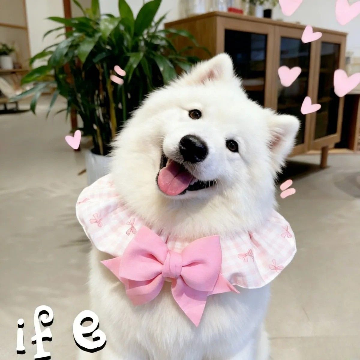 宠物狗狗中大型犬专用口水巾