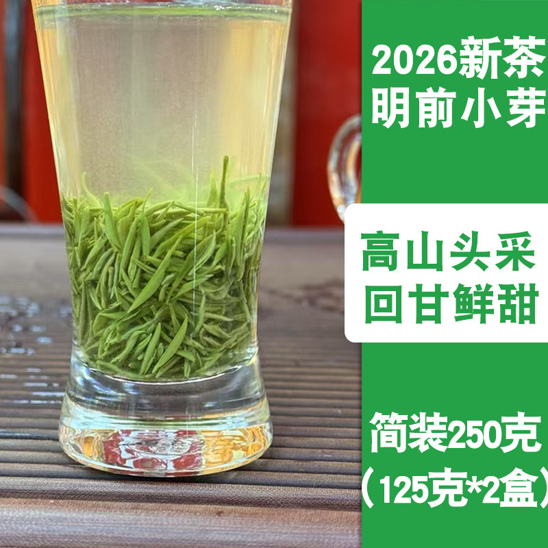 2026春茶信阳毛尖新茶叶头采小芽