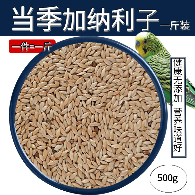 进口加纳利子鹦鹉鸟食白尖饲料食物虎皮玄凤黄雀草籽金翅鸟粮包邮