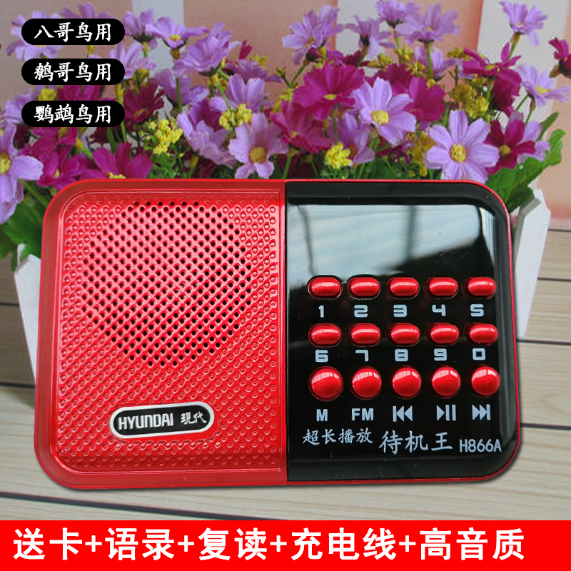 鸟用学习机鹦鹉八哥录音器教育