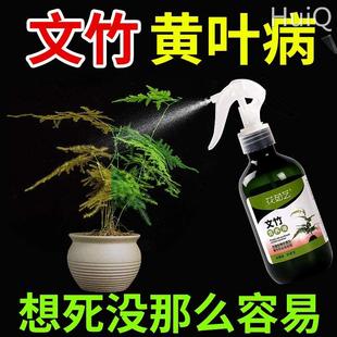 文竹专用营养液水陪土培植物液体肥盆栽室内养花通用型黄叶一喷绿