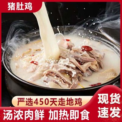 正宗猪肚鸡加热即食半成品懒人预制菜家庭装商用500g肚子鸡