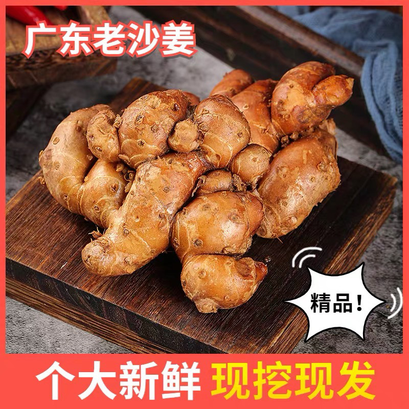 广东沙姜新鲜商用批发正宗农家特产自种老姜椰子腌制配料整箱白切