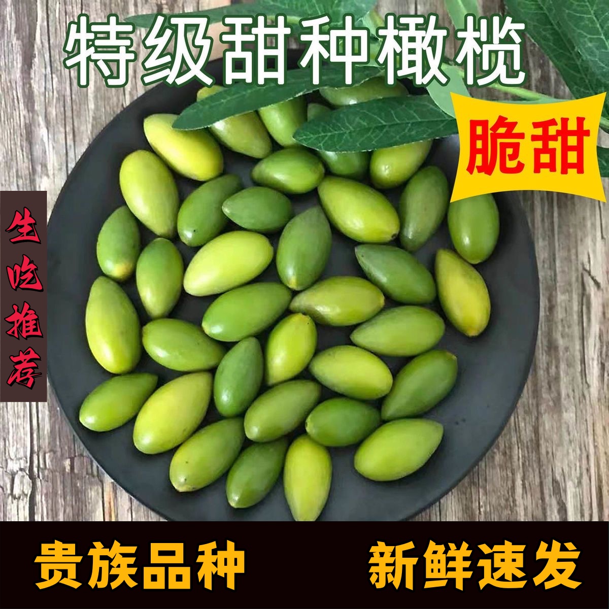正宗潮汕特产新鲜现摘金灶橄榄