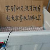 老树全自动温控小型家用水床培养箱鸡鹌鹑鸽蛋培养箱蛋培养箱