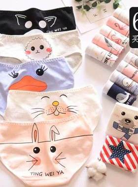 5Pack Women's Sexy Underwear -Lace Band Cotton Thong Pan