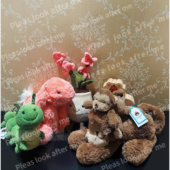 英国JELLYCAT奥丽莎粉色兰花盆栽史玛吉杏桃兔子tiny猴子凯里毛虫