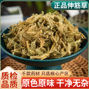 野生伸筋草中药500克g正品另售远志益智仁伸筋草透骨草中药材新货