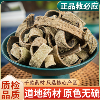 正品广西救必应中药材500g新货晒干薄皮龙胆木皮铁冬青熊胆木木香