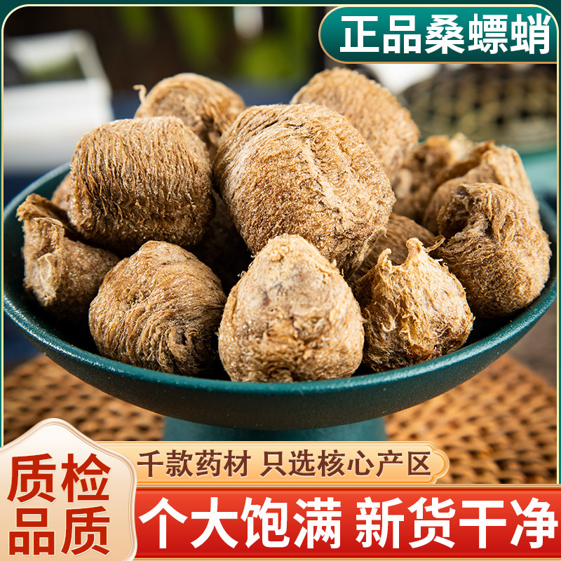 野生桑螵蛸中药材100克/50g干桑螵蛸螳螂子刀螂蛋可打粉熟桑螵蛸