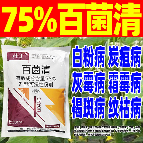 壮丁75%百菌清杀菌剂苹果树果园落叶斑点病专用白茵清农药正品