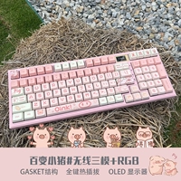 Сотни -изменчивые модели Piglets Limited [Пятисторонняя тепло -саблевая клавиша]