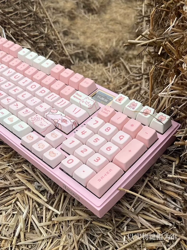 R98Pro Hot Plug -IN Mechanical Keyboard Packet Struct