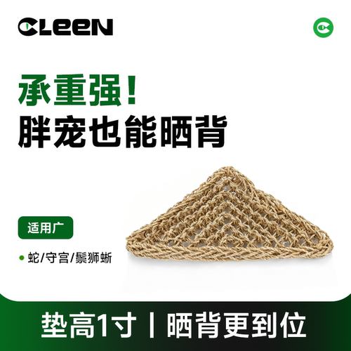 其鳞爬宠吊床鬃狮蜥守宫躲避