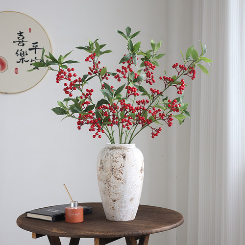 生喜朗新年果客厅红果，冬青浆果