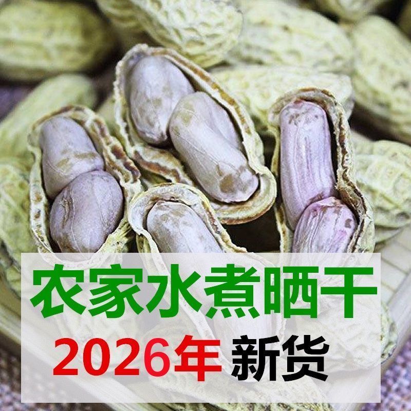 【2026年新货】农家水煮花生晒干盐水花生咸味白玉咸干有嚼劲一斤
