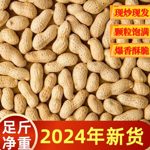 【现炒现发】新货现炒原味铁锅炒花生新鲜生花生小珍珠无干燥剂