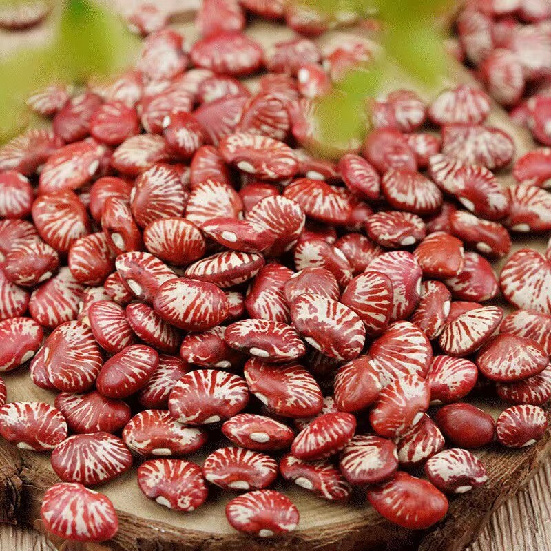 斑马豆新货肾豆花豆神豆云南农家荷包豆花菜豆大红豆红芸豆花芸豆