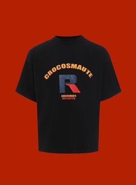 Crocosmaute  CRO MINI LECTURE