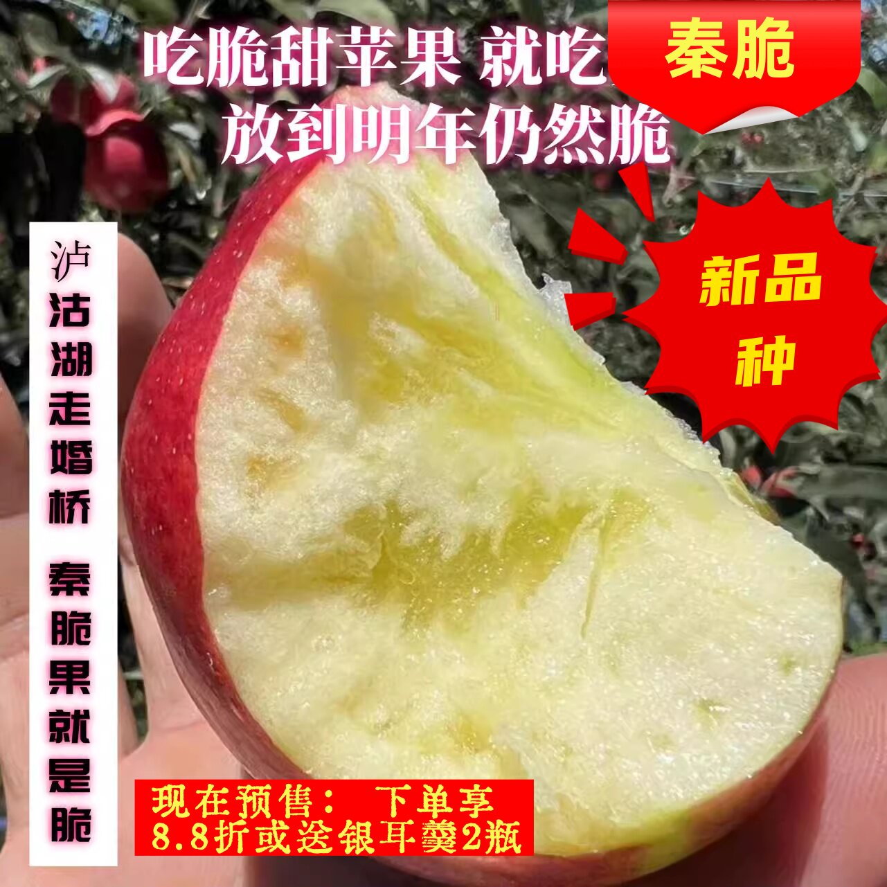 云南宁蒗冰糖心2700米高原又苹果