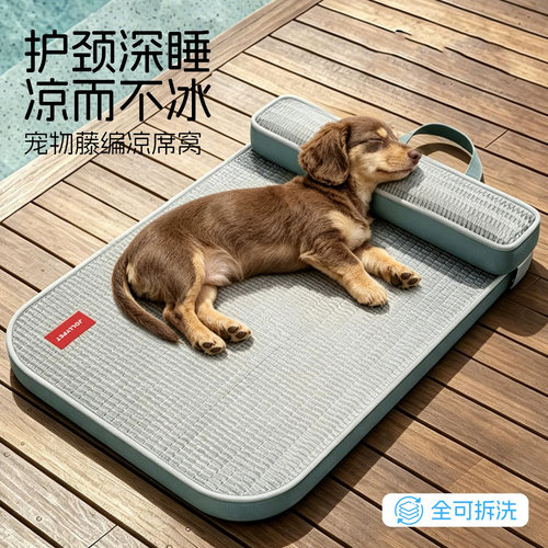 德国四季可拆洗藤编狗猫凉席垫
