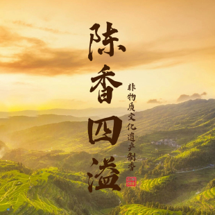 【陈香四溢】陈皮香解郁安神舒缓情绪缓解焦虑天然助眠香线香香薰