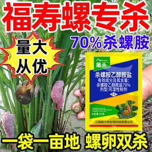 70%杀螺胺乙醇胺盐杀虫剂水稻田福寿螺专杀专用药福寿螺克星