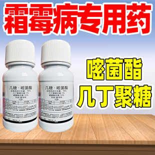 霜霉病专用药16%几糖嘧菌酯几丁聚糖黄瓜霜霉病杀菌剂克星正品