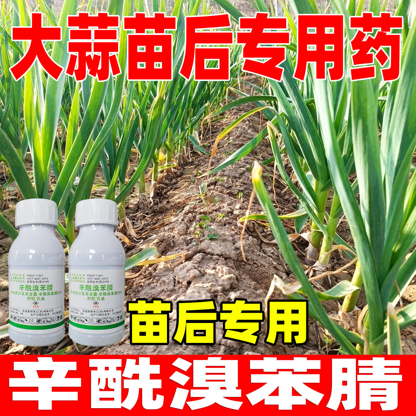 大蒜苗后专用除草剂正品