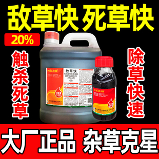 树荣200g/L敌草快除草剂农药专用剂敌草怏灭杀剂果树荒地山坡