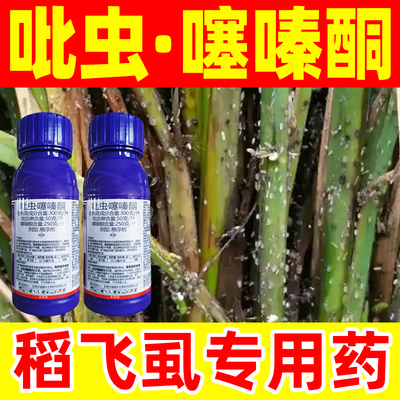 300克/升吡虫.噻嗪酮悬浮剂强势