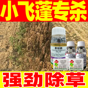 小飞蓬除草剂飞蓬草克星专用除草药草铵膦草胺磷正品烂根剂农药