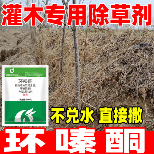 晴雨表灌木专用药5%环嗪酮除草烂根剂环嗪哃强力烂根除草剂正品