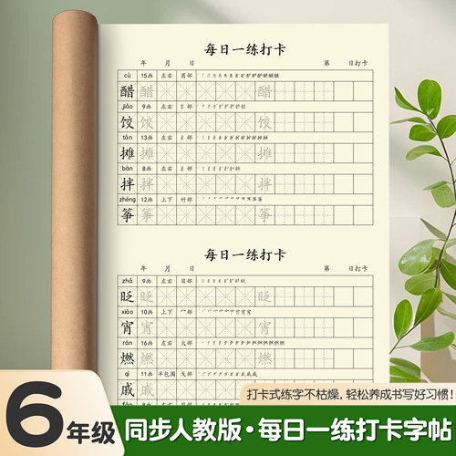 六年级练字帖上下册小学语文打卡